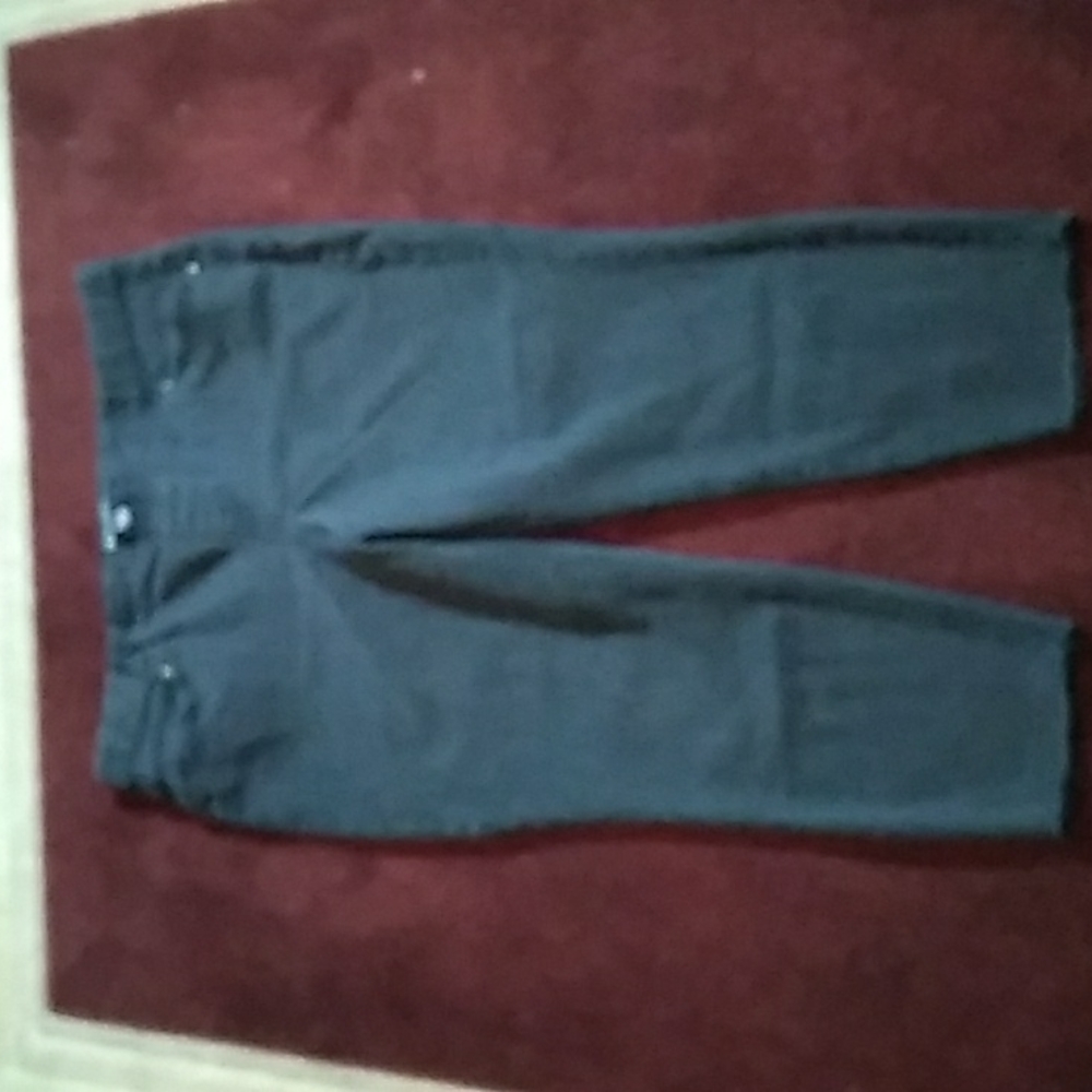 Ladies size 1X (16W-18W) Terra & Sky jeans